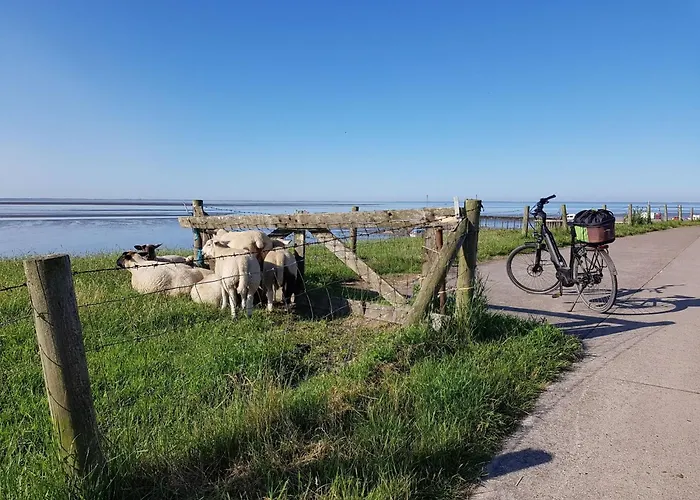 Σπίτι διακοπών G1 Eingezaeuntes Haus Mit Kamin In Eckwarderhoerne By Interhome *